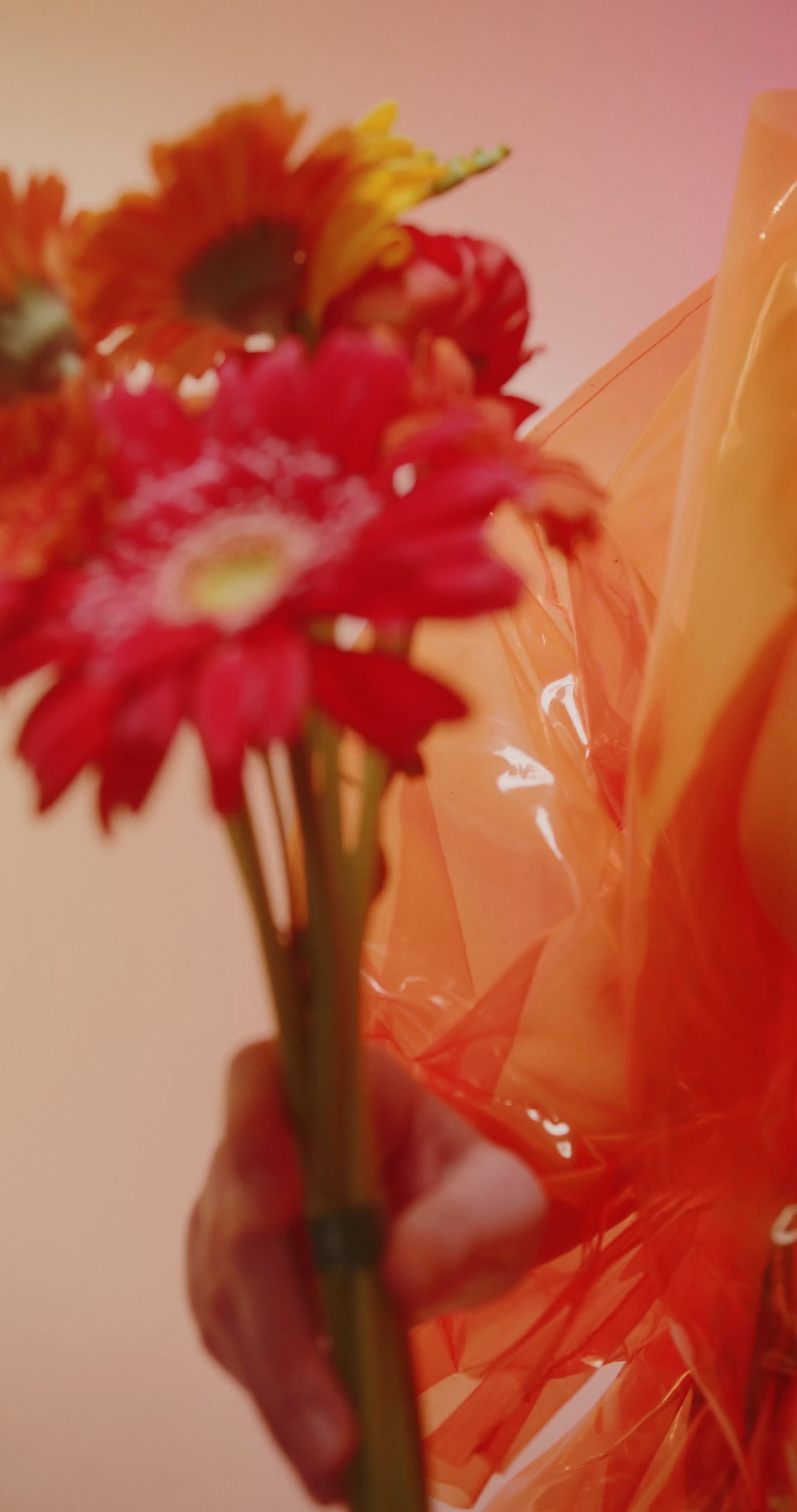 Congratulations